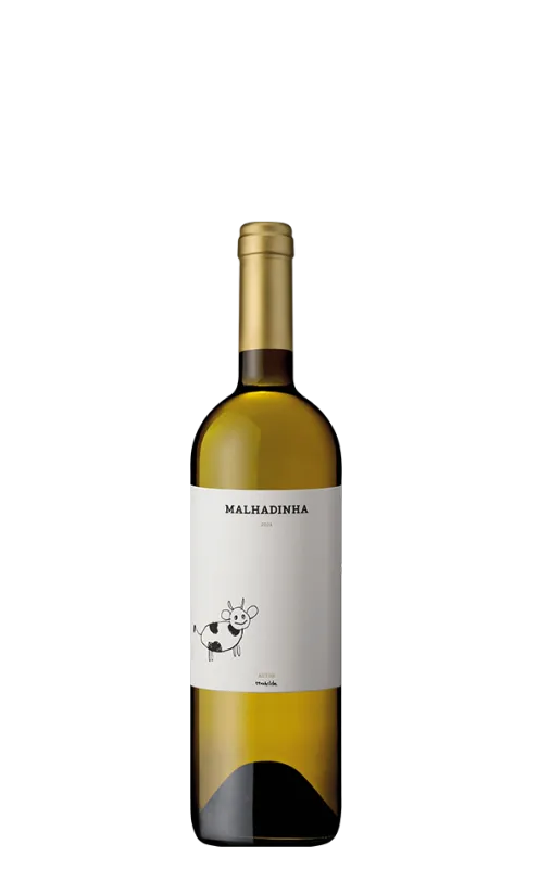 White Wine Malhadinha 2024 Bio 75 Cl