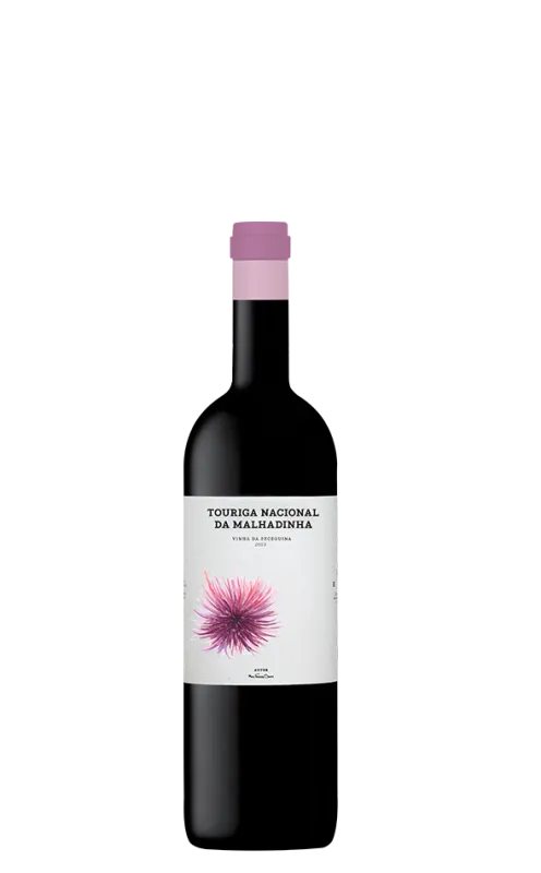 Red Wine Touriga Nacional Da Malhadinha Bio 2023 75 Cl