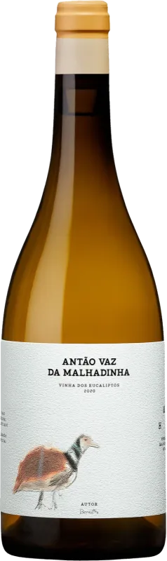 White Wine Antao Vaz Da Malhadinha 